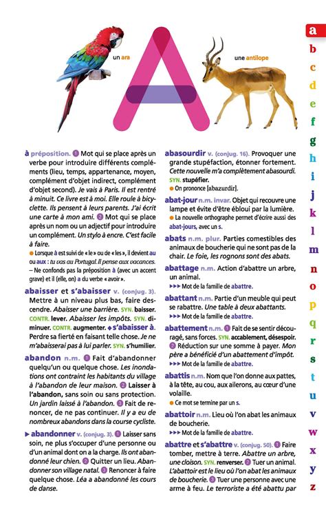 larousse dictionnaire en ligne.